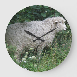 Leuke Gulzige Schapen die de Klok van de Muur eten