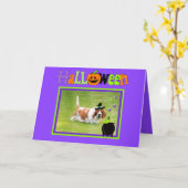 Leuke Halloween Kaart met Basset Hound, Frog & Spi (Gele Bloem)