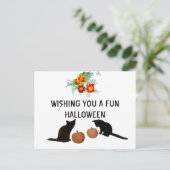 Leuke Halloween Sinaasappel Pompoenen Marigolds Zw Briefkaart (Staand voorkant)