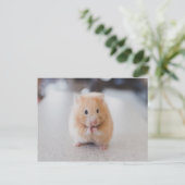 Leuke hamster briefkaart (Staand voorkant)