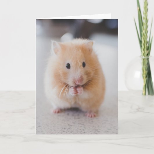 Leuke hamster kaart (Voorkant)