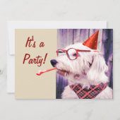 Leuke Happy Schattige Dog Celebrating Party Pet Kaart (Voorkant)