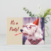 Leuke Happy Schattige Dog Celebrating Party Pet Kaart (Staand voorkant)