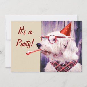 Leuke Happy Schattige Dog Celebrating Party Pet Kaart