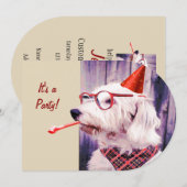 Leuke Happy Schattige Dog Verjaardagsfeest Pet Bri Kaart (Voorkant / Achterkant)