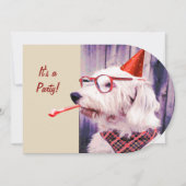 Leuke Happy Schattige Dog Verjaardagsfeest Pet Bri Kaart (Voorkant)