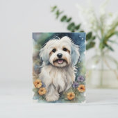Leuke Havanese Hond in Waterverf Briefkaart (Staand voorkant)