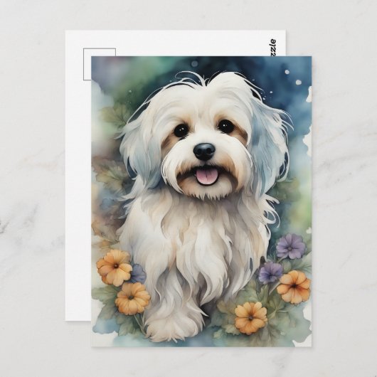 Leuke Havanese Hond in Waterverf Briefkaart (Voorkant / Achterkant)