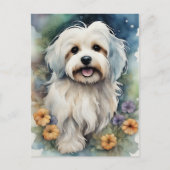 Leuke Havanese Hond in Waterverf Briefkaart (Voorkant)