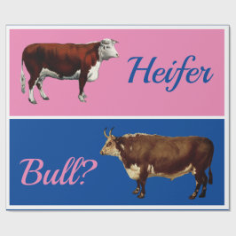 Leuke Heifer of Bull Geslacht onthullen met vee Cadeaupapier