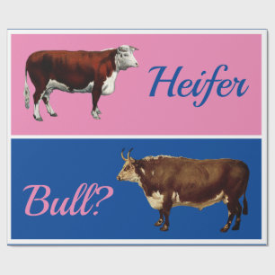 Leuke Heifer of Bull Geslacht onthullen met vee Cadeaupapier