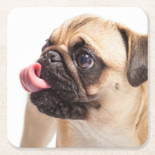 Leuke Hond onderzetters 4