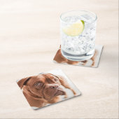 Leuke Hond onderzetters 6 (Insitu)