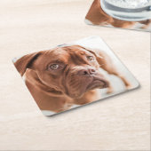 Leuke Hond onderzetters 6 (Schuin)