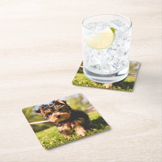 Leuke Hond onderzetters 9 (Insitu)