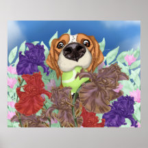 Leuke hond op een bloemenveld.