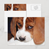 Leuke Hond Puppy Briefkaart (Voorkant / Achterkant)