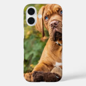 Leuke Hond Telefoon Case (Achterkant)
