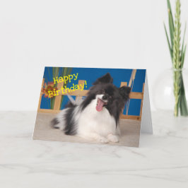 Leuke Hond Verjaardag Kaart, Papillon Bedankkaart