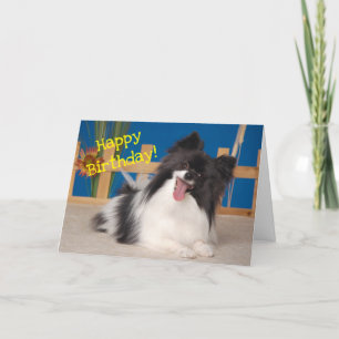 Leuke Hond Verjaardag Kaart, Papillon Bedankkaart
