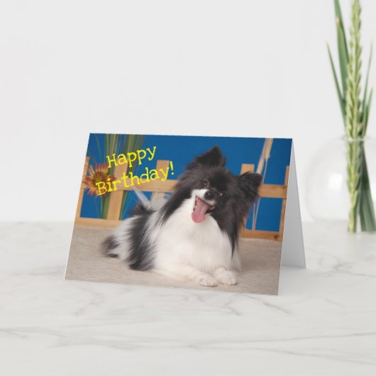 Leuke Hond Verjaardag Kaart, Papillon Bedankkaart (Voorkant)