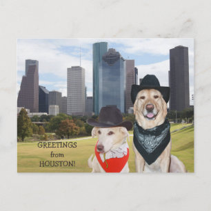 Leuke Honden/de Groeten van het Laboratorium van Briefkaart