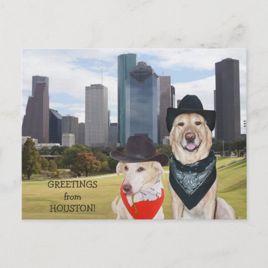 Leuke Honden/de Groeten van het Laboratorium van Briefkaart (Voorkant)