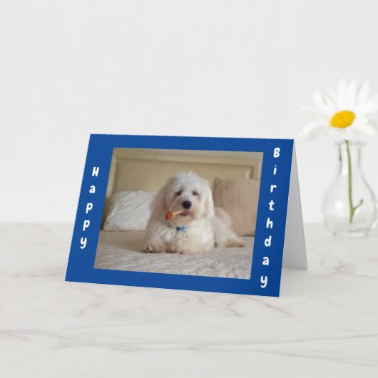 **LEUKE HONDEN WENSEN** VERJAARDAGSCARD VAN VRIEND KAART (Kleine Plant)