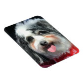 Leuke hondenmagneet, K-Cee rode sjaal II Magneet (Rechterzijde)