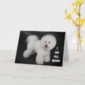 **LEUKE HONDENWENSEN** GELUKKIG *40e** VERJAARDAG Kaart (Gele Bloem)