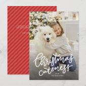 Leuke huisdier vakantie kaart (Voorkant / Achterkant)