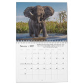 Leuke & interessante feiten over olifanten kalender (Feb 2027)