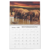 Leuke & interessante feiten over olifanten kalender (Jan 2027)