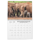 Leuke & interessante feiten over olifanten kalender (Mar 2027)