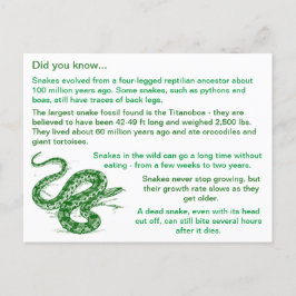 Leuke & interessante Snake Feiten Briefkaart