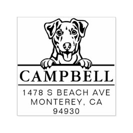 Leuke Jack Russel Custom Dog Adres Stempel