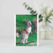 Leuke Joey baby Kangoeroe Briefkaart (Staand voorkant)