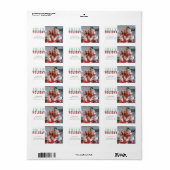 Leuke Jolly Holiday Familie Moderne Foto Kerstmis Etiket (Full Sheet)