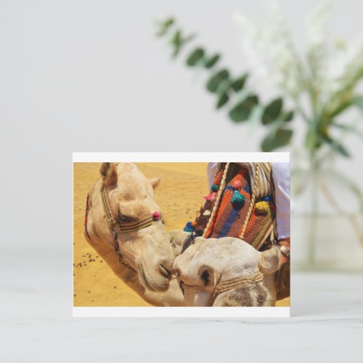 Leuke Kamelen Briefkaart (Staand voorkant)