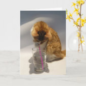 Leuke Kat die van de Gelukkige Verjaardag van het Kaart (Gele Bloem)