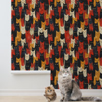 Leuke kat gezichten
