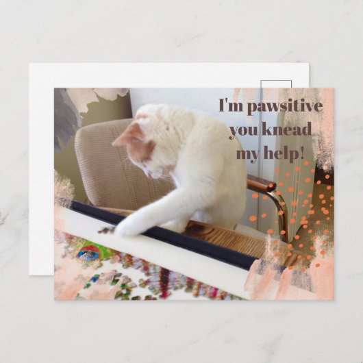 Leuke kat "Ik ben passief dat je mijn hulp kneedt" Briefkaart (Voorkant / Achterkant)
