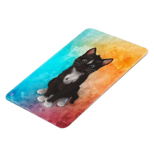 Leuke kat kleuren magneet (Linkerzijde)