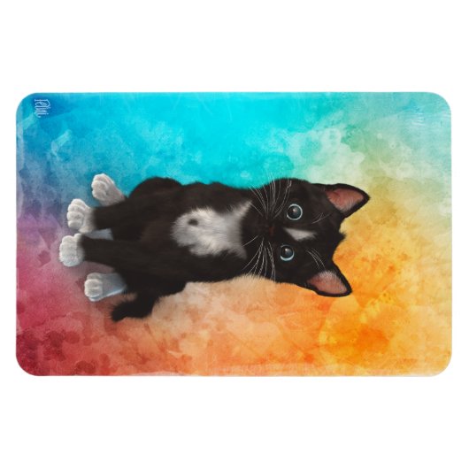 Leuke kat kleuren magneet (Horizontaal)