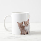 Leuke kat leuk en gekke koffiemok (Links)
