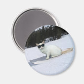 Leuke Kat op een Snowboard Magnet (Voorkant / Achterkant)