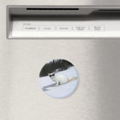 Leuke Kat op een Snowboard Magnet (Insitu (Vaatwasser))