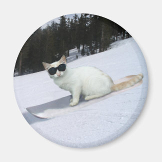 Leuke Kat op een Snowboard Magnet