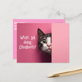 Leuke kat Peeks Briefkaart