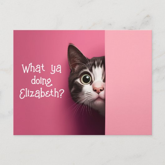 Leuke kat Peeks Briefkaart (Voorkant)